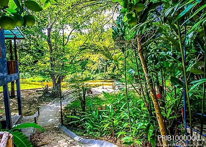 Prib1000dow And สวนผึ้ง
