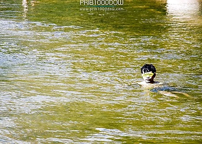 Prib1000dow And สวนผึ้ง